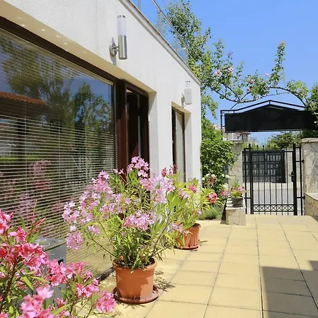 Saint Stefan * 소조폴